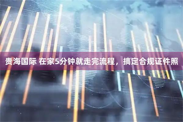 贵海国际 在家5分钟就走完流程，搞定合规证件照