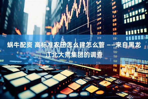 蜗牛配资 高标准农田怎么建怎么管 ——来自黑龙江北大荒集团的调查