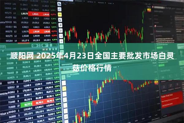 顺阳网 2025年4月23日全国主要批发市场白灵菇价格行情