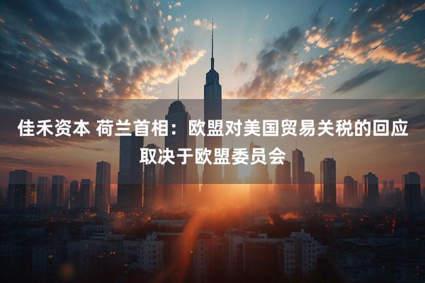 佳禾资本 荷兰首相：欧盟对美国贸易关税的回应取决于欧盟委员会
